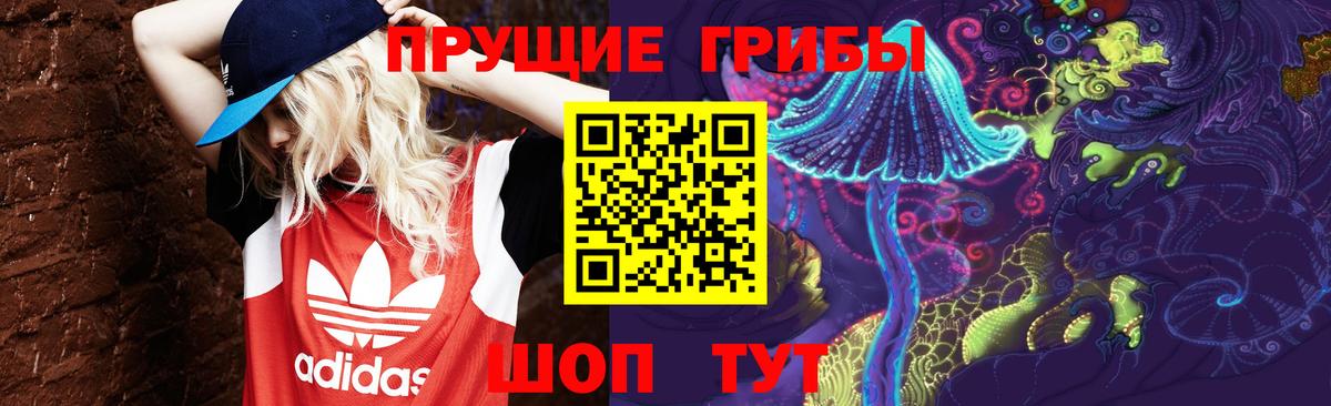 Галлюциногенные грибы GOLDEN TEACHER  Вход с VPN  Лыткарино 