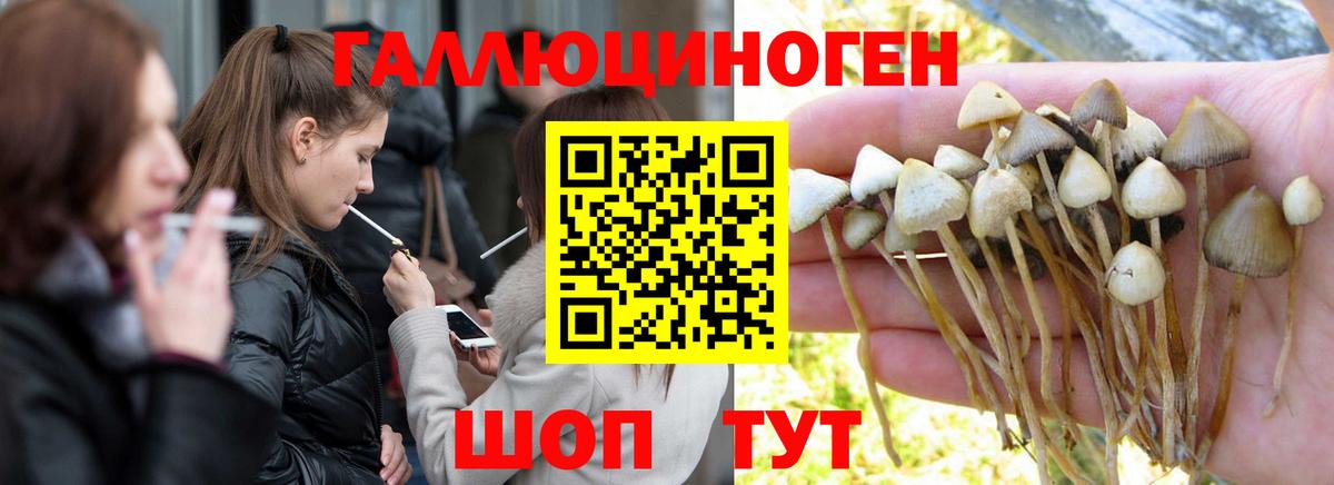 Галлюциногенные грибы GOLDEN TEACHER Лыткарино